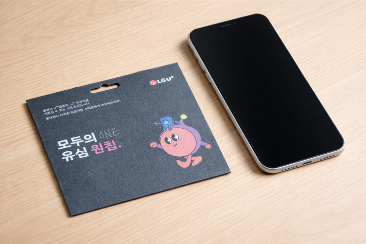  LG선불유심 요금제 선택 팁과 이용하는 방법 총정리