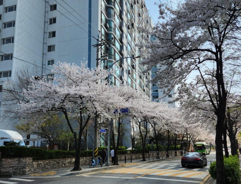 사진 6