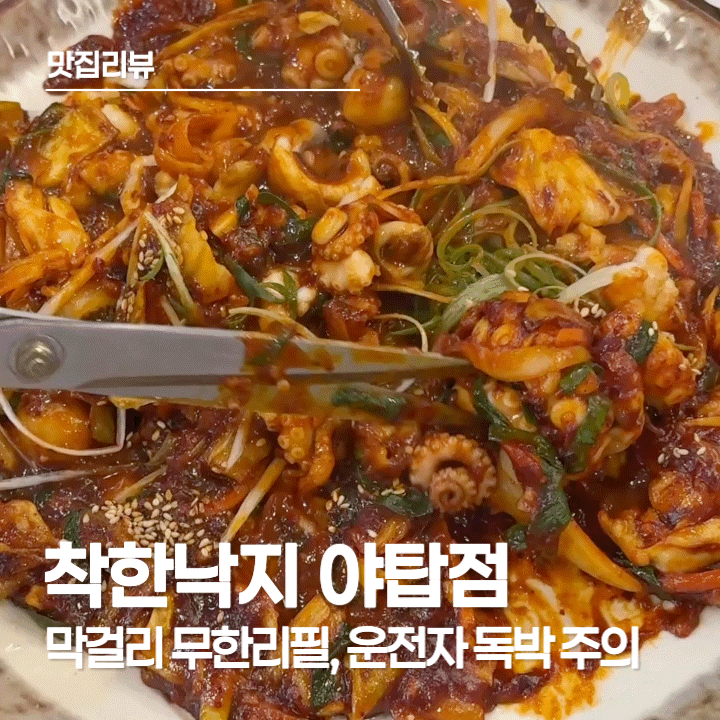  야탑역 맛집 착한낙지 야탑점, 막걸리 무한 리필과 낙지 효능까지 챙긴 대가족 외식 후기