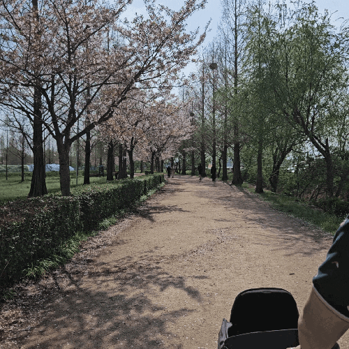  부산 화명생태공원 아기랑 유모차산책하기좋은곳