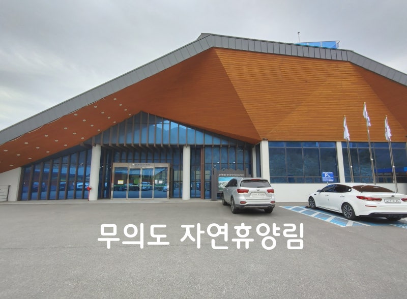 〔인천/숙소〕객실에서 바다와 일몰뷰가 있는 국립무의도자연휴양림 숲속의집과 연립동(feat....