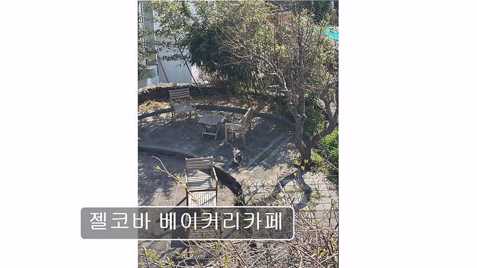 젤코바베이커리 사진 5