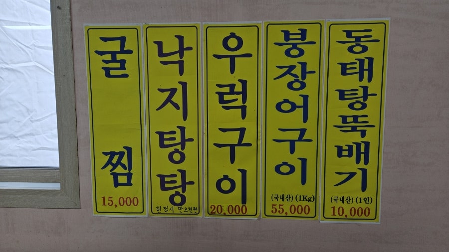 또치네 사진 5