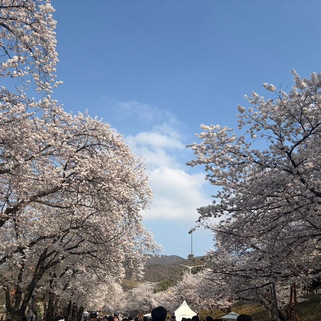 사진 8