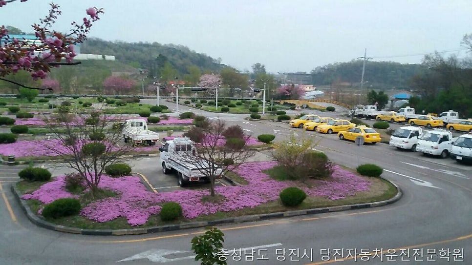 당진자동차운전전문학원 사진 1
