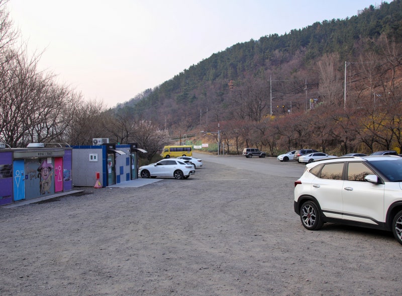 사진 7