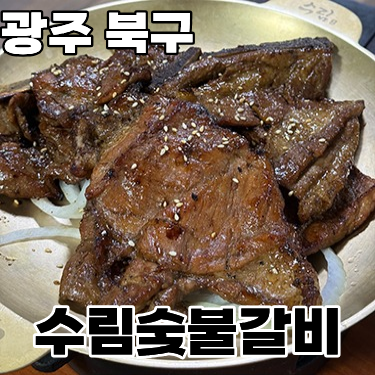  광주 북구 문흥동 갈비 맛집 '수림담양식숯불갈비'