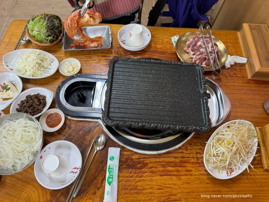황금오리 사진 6