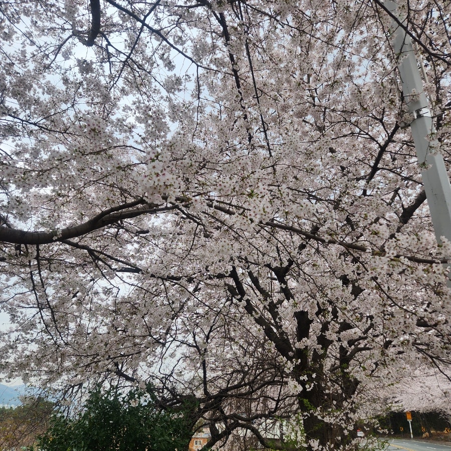 해운대시원한대구탕 사진 2