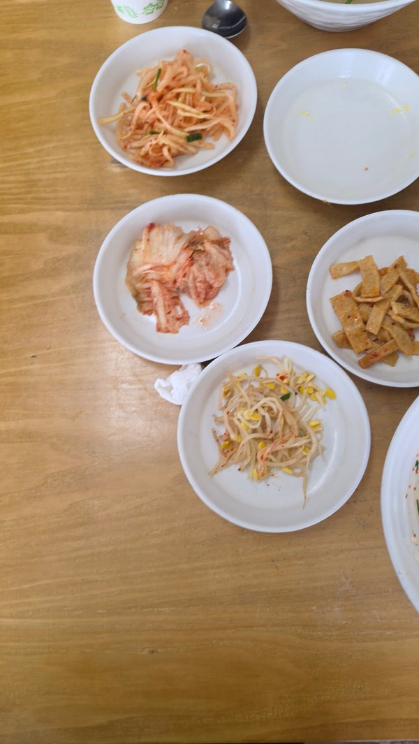 콩이랑보리랑 사진 4