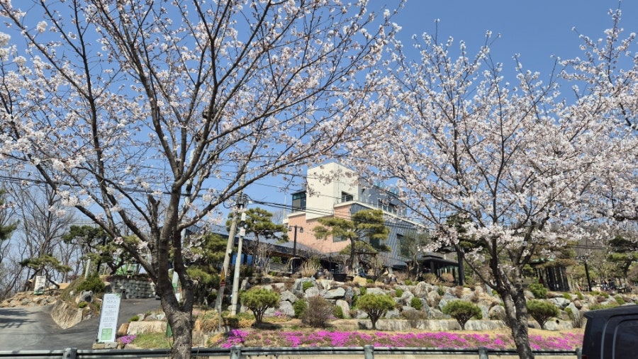 계양손짜장마을 사진 4