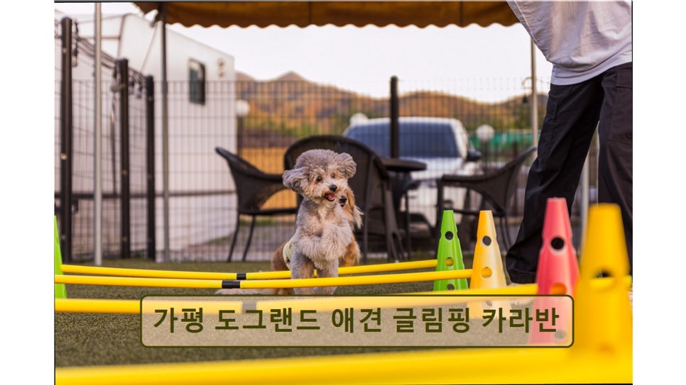 도그랜드글램핑 사진 6