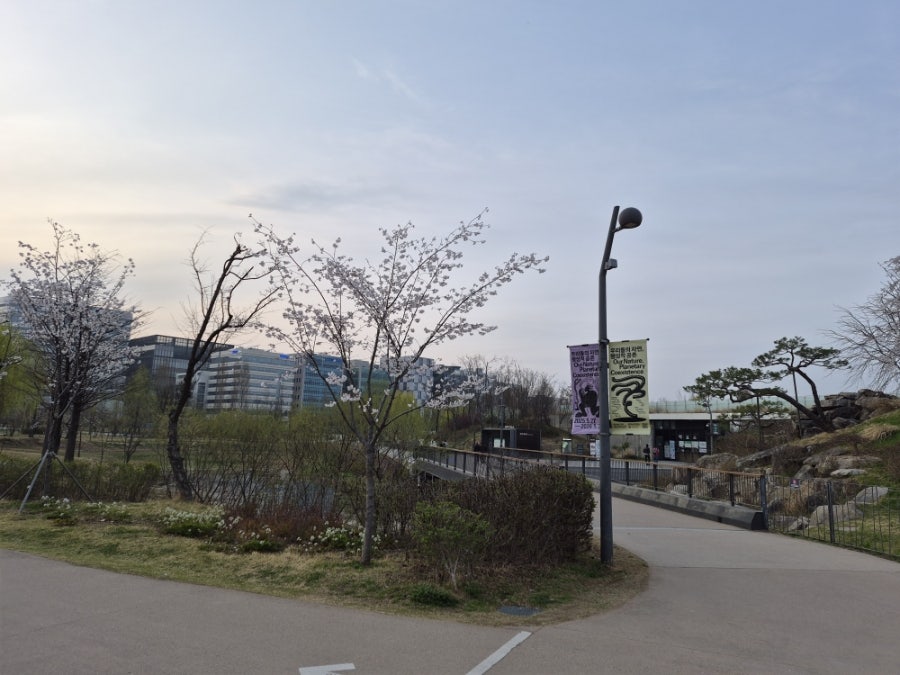 목포낙지 사진 5