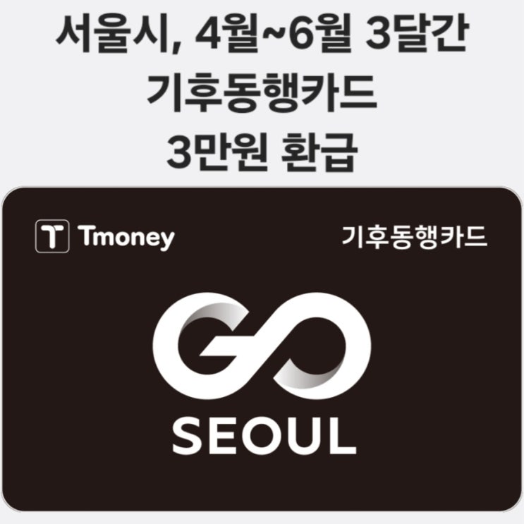  기후동행카드 6월까지 3개월간 월 3만원 환급 받으세요 삼성페이 추가하는법 청년 할인 받는법