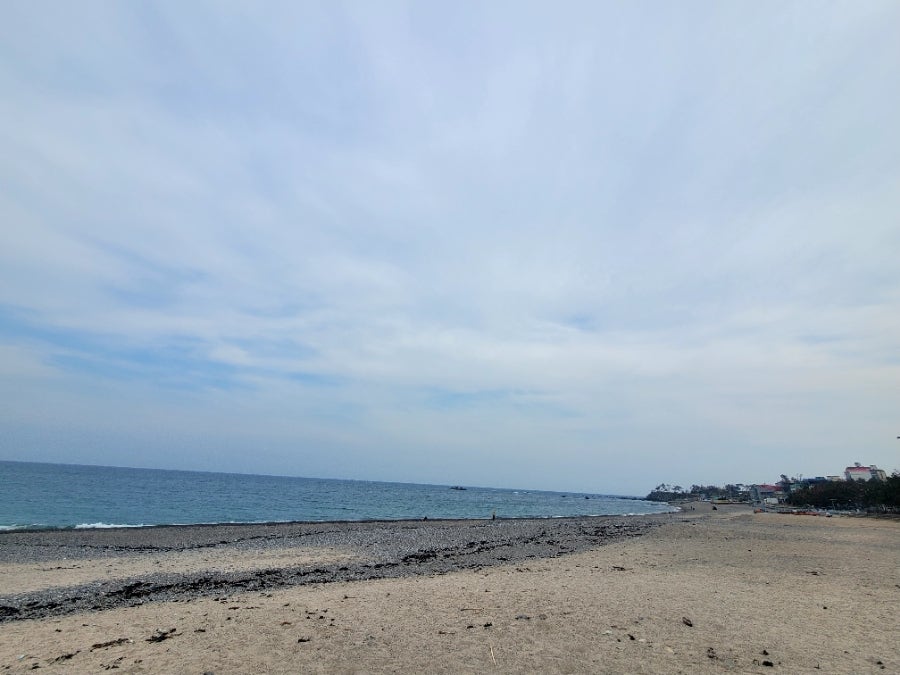 청와삼대 울산주상절리점 사진 3