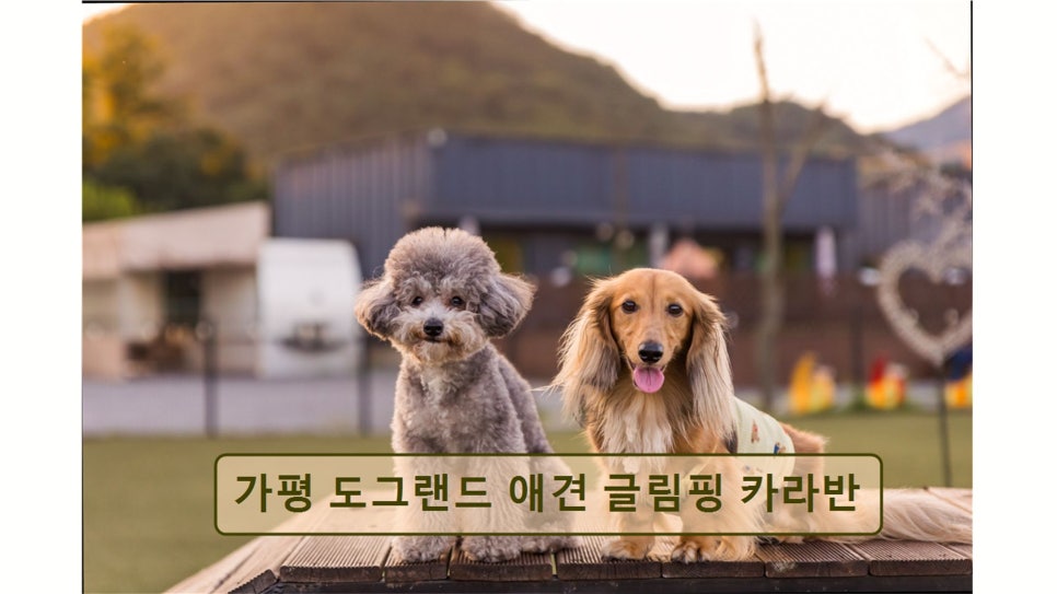 도그랜드글램핑 사진 1