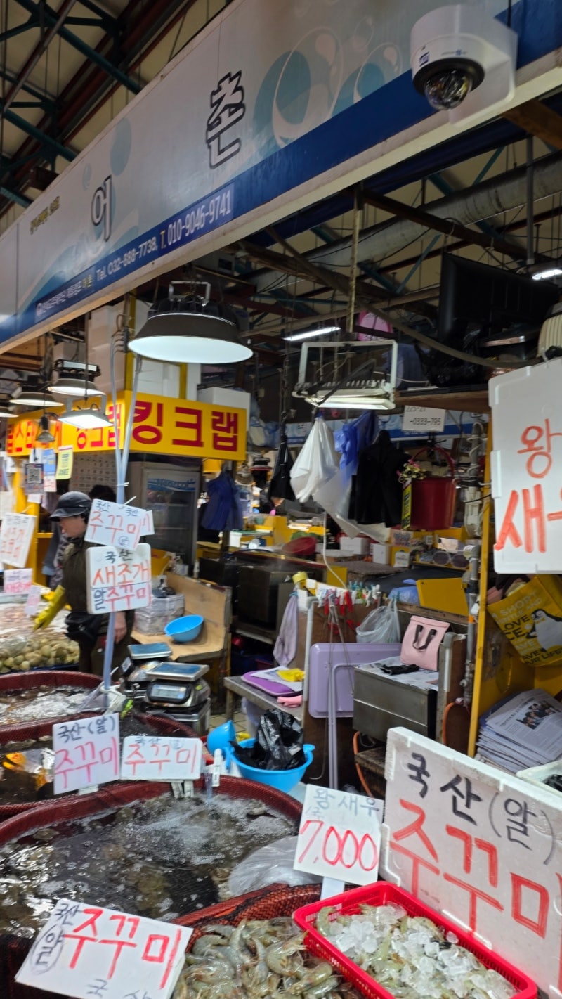 인천 어시장 가격 실화? 쭈꾸미·새조개 시세 총정리 (60,000원 후기)