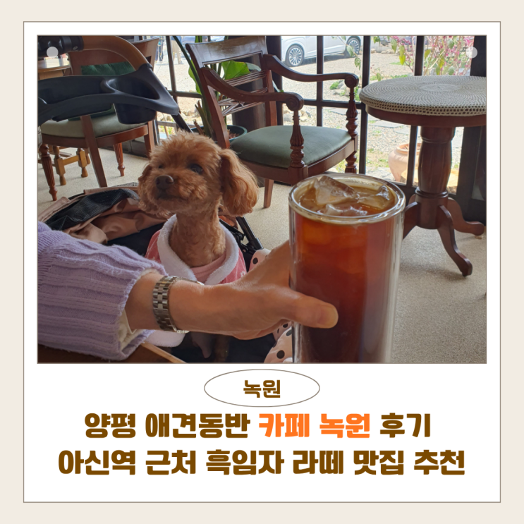  양평 애견동반 카페 녹원 후기 | 아신역 근처 흑임자 라떼 맛집 추천