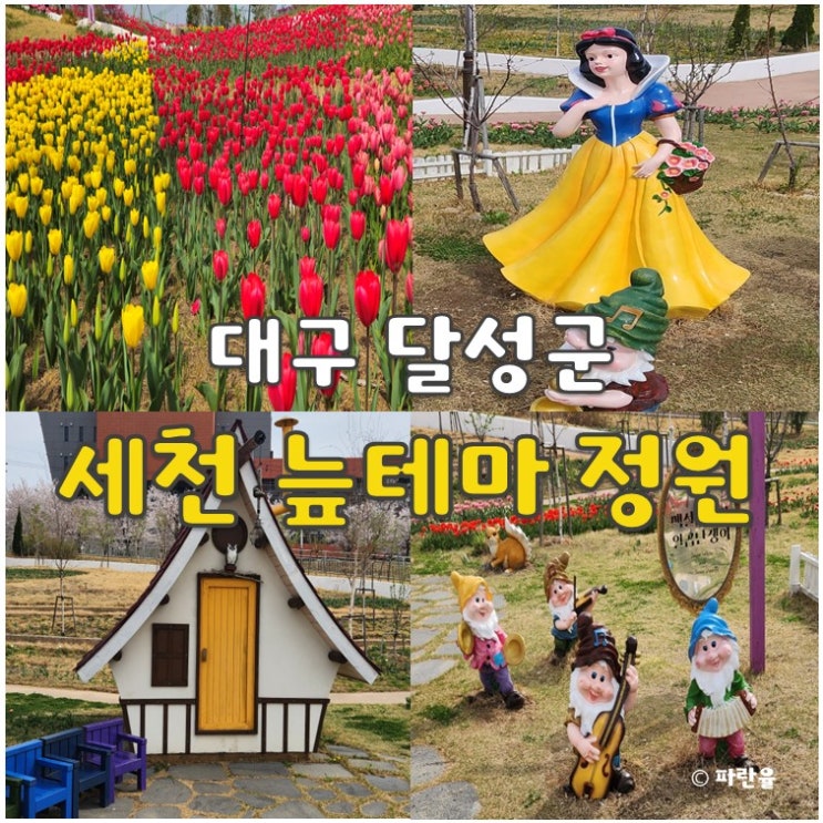  대구 벚꽃 튤립 명소 가볼 만한 곳 다사 세천 늪 테마 정원