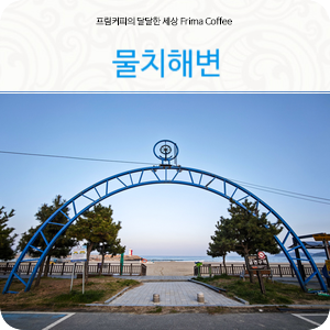 양양 물치해수욕장 물치항 회센터 공사 중