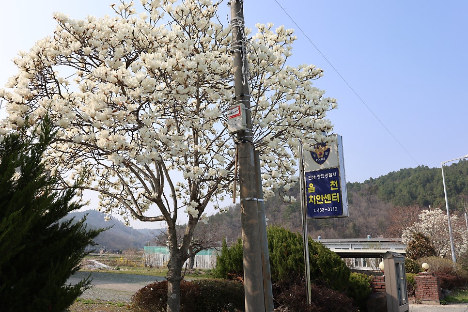 옴천치안센터 사진 3