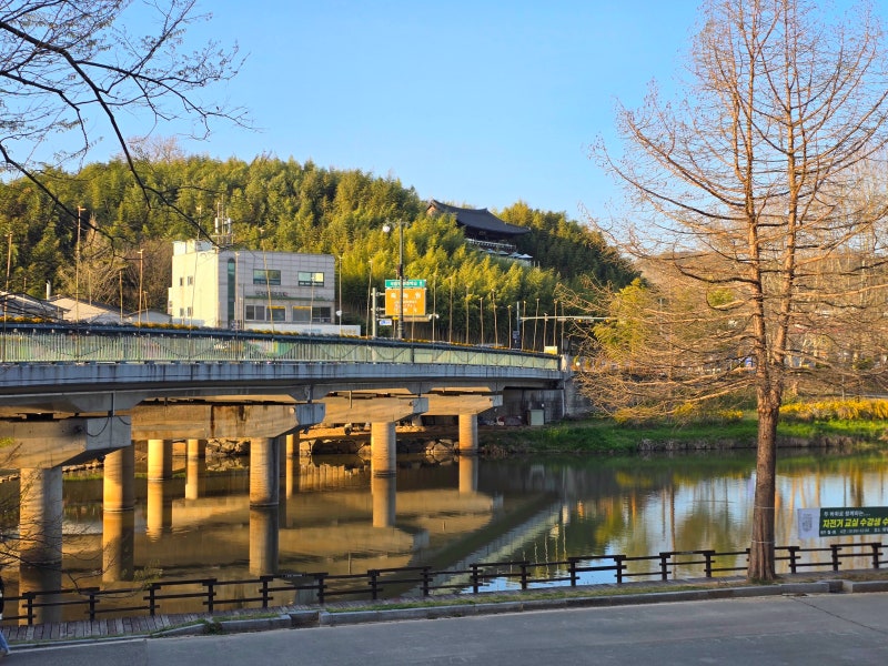 사진 6