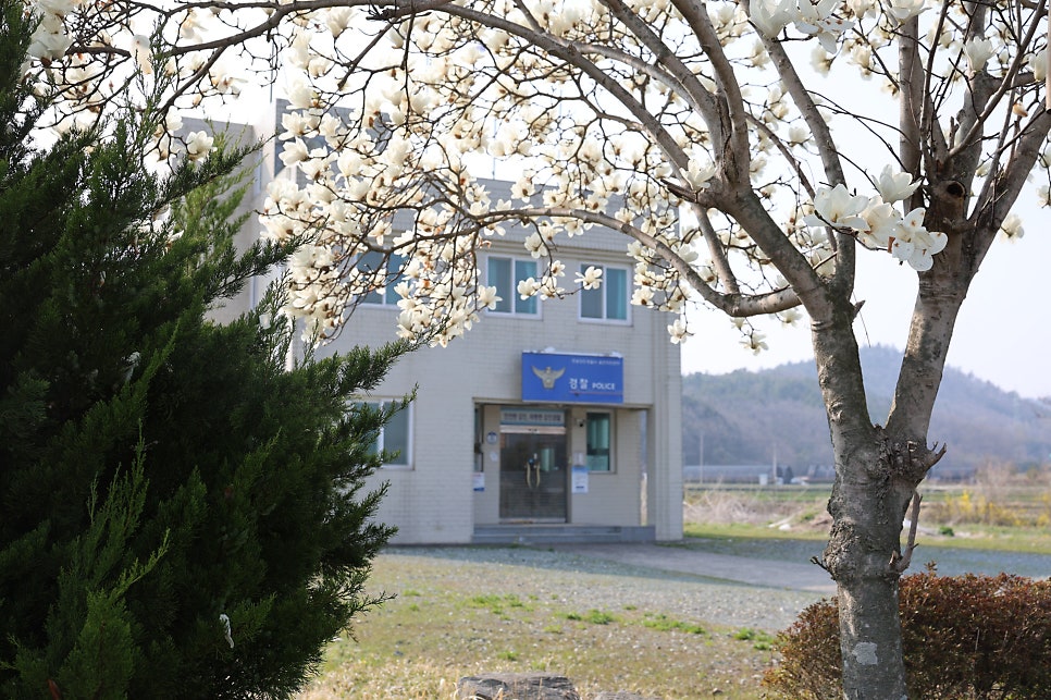 옴천치안센터 사진 4