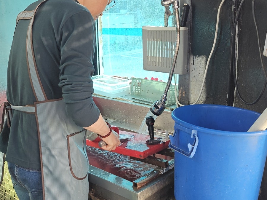 금오장어 사진 5