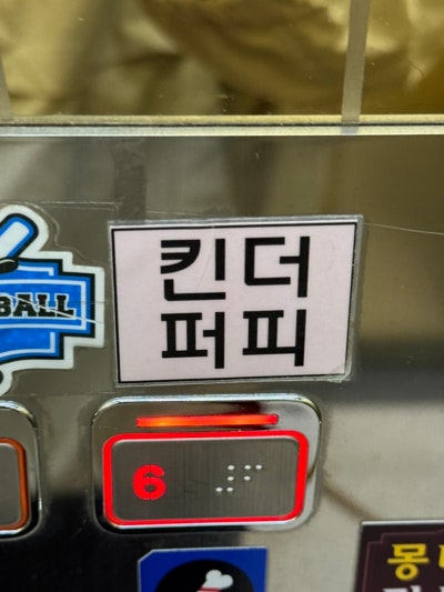 사진 5