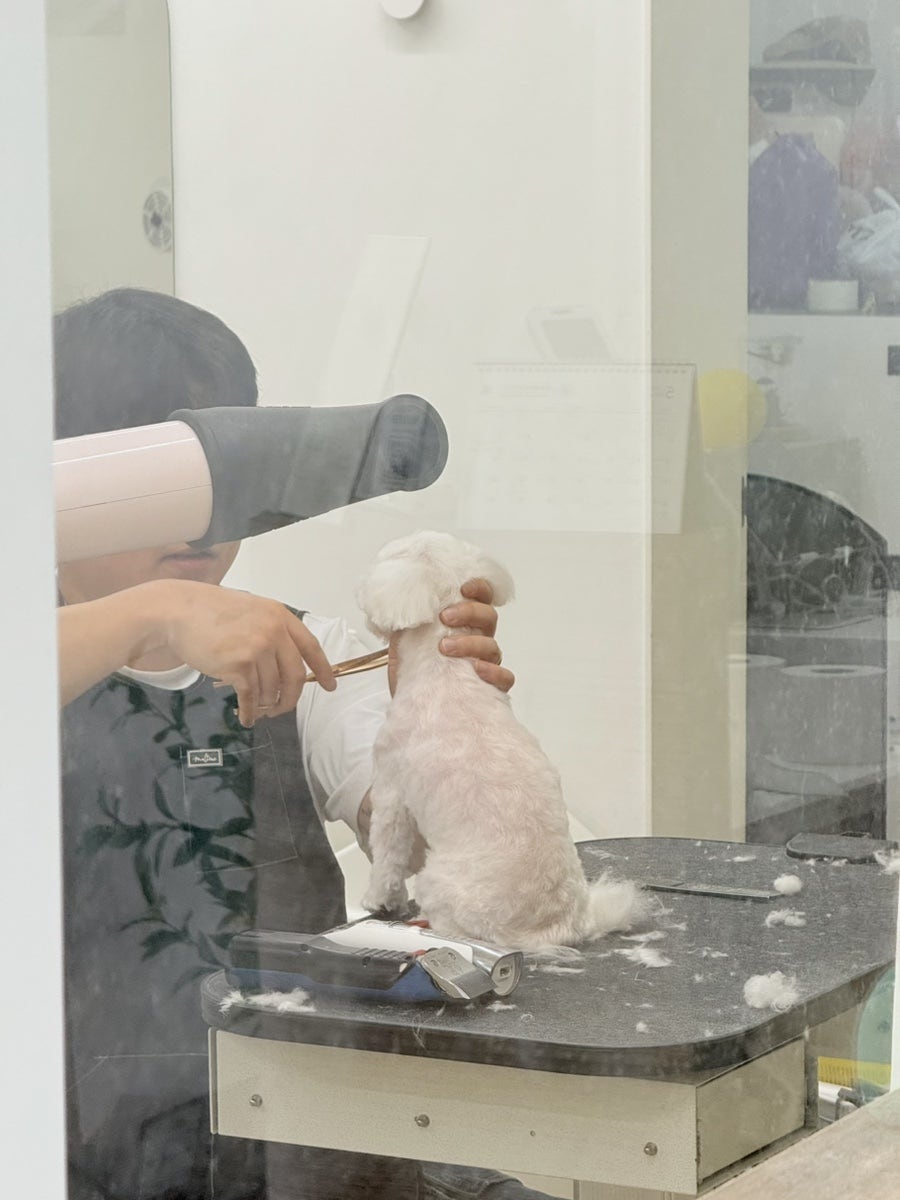 윈썸 사진 5