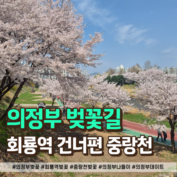  의정부 회룡역 벚꽃 구경 꿀팁 총정리, 주차부터 먹거리까지