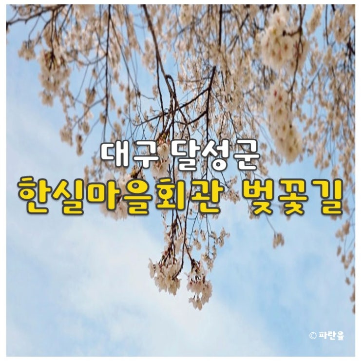  대구 근교 벚꽃 명소 추천 다사 인근 하빈 한실마을 시골길
