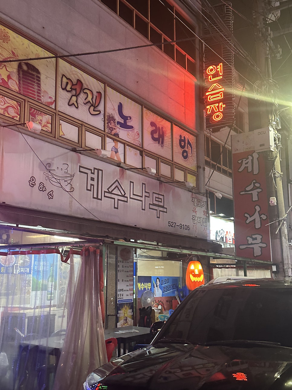계수나무 사진 1
