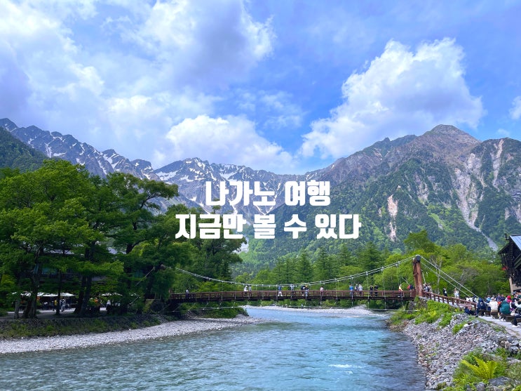  일본 여행 4~5월 추천｜벚꽃 끝난 뒤, 진짜 나가노가 열리는 3곳 (2026 최신판)