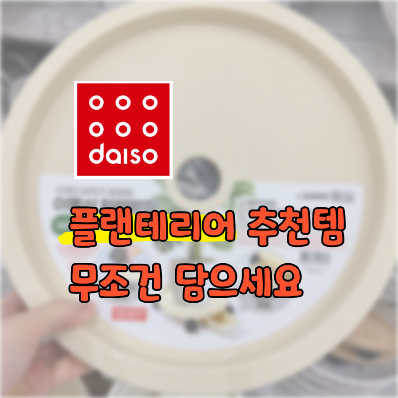 다이소 화분받침 보이면 무조건 쟁이세요! 플랜테리어 질 높여주는 다이소 추천템 리스트