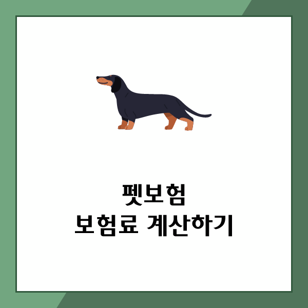 사진 7