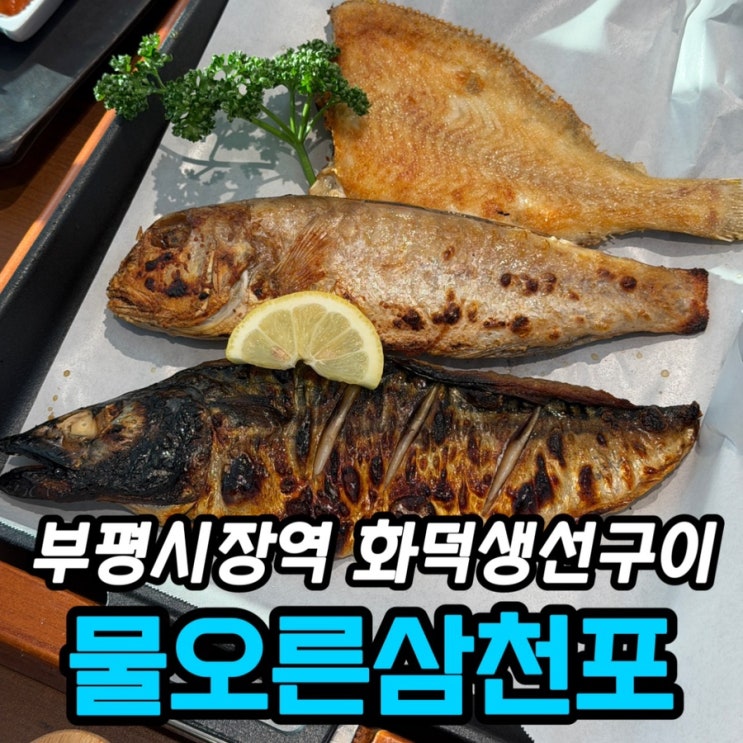  부평시장역 맛집 물오른삼천포 부평본점 후기 | 해물밥상·화덕 생선구이 한상