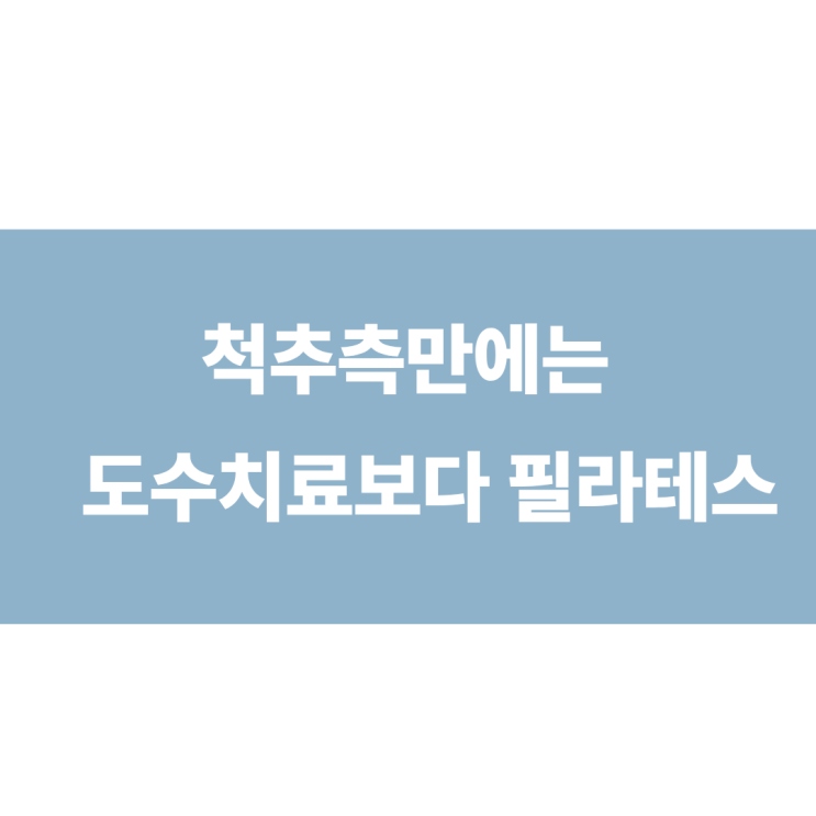 삼전 송파 척추측만 필라테스