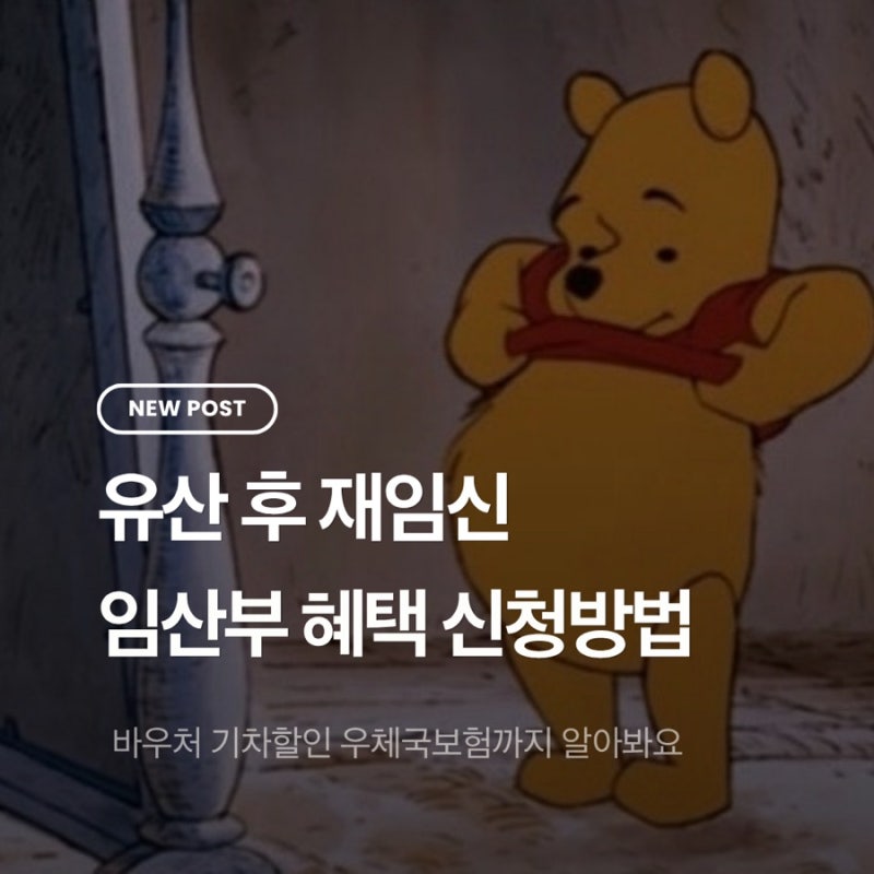 유산 후 재임신 :: 임산부 혜택 신청방법 | 바우처 KTX SRT 우체국보험