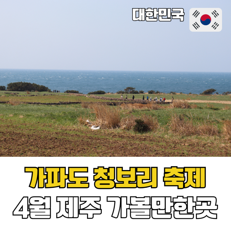  4월 제주 가볼만한 곳 가파도 청보리 축제 일정