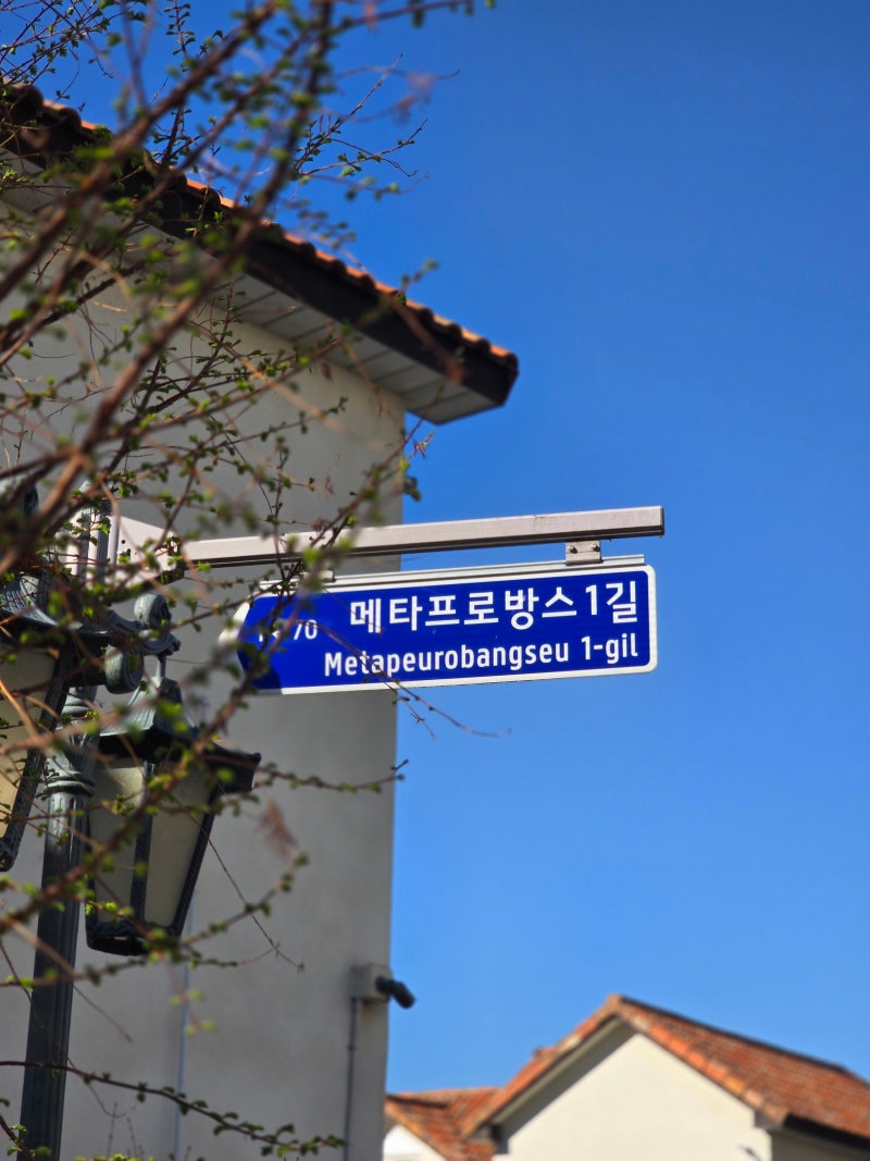 사진 3