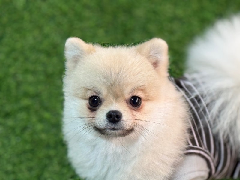 사진 6
