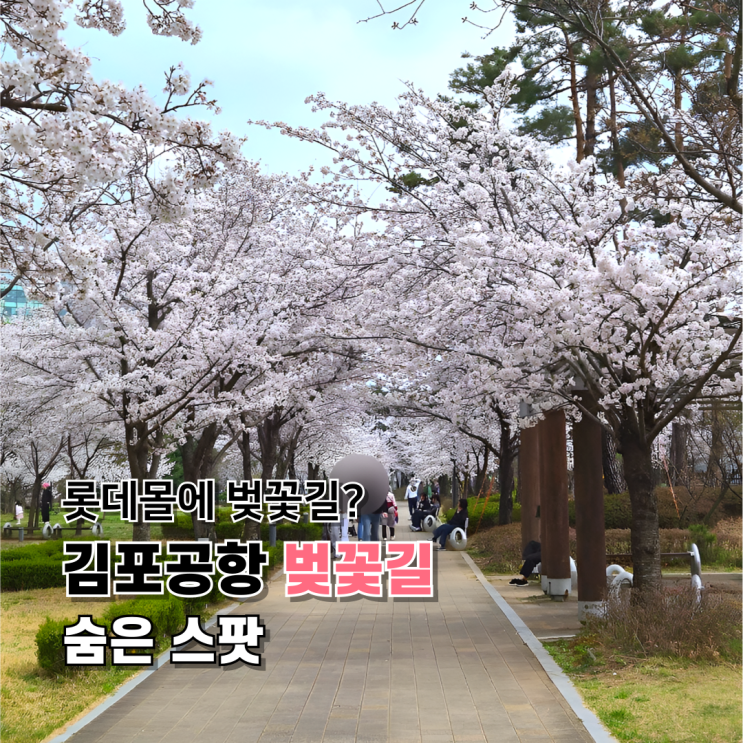  롯데몰 김포공항 벚꽃길 발견! 직원만 아는 숨은 벚꽃 스팟