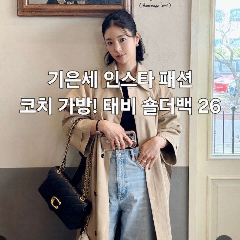 기은세 인스타 패션 코치 가방! 태비 숄더백 26 위드 필로우 퀼팅 정보