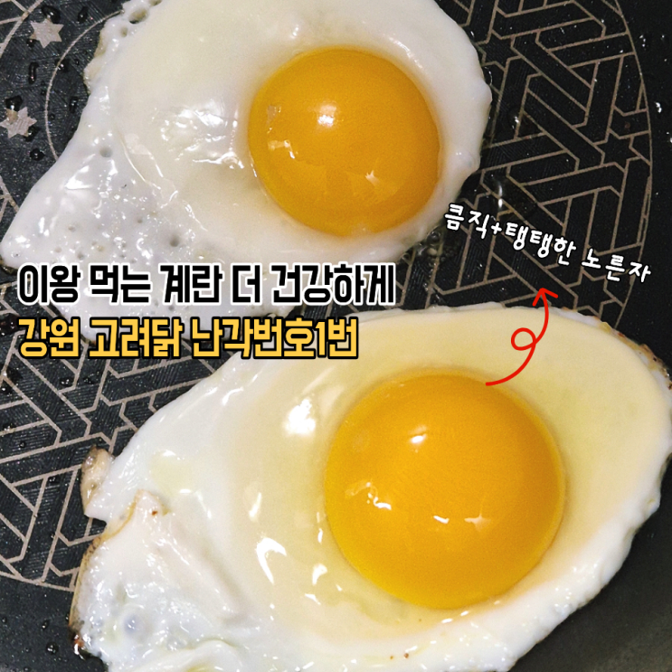  매일 먹는 계란 고려닭이 낳은 난각번호1번계란 재래유정란 후기