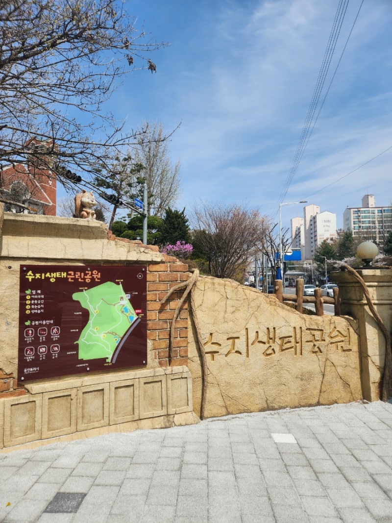 용인 산책하기 좋은 곳 [수지생태공원] 정보 및 후기