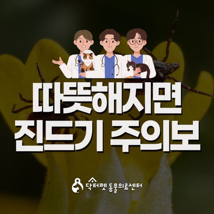  따뜻해지면 진드기 주의! SFTS 중증열성혈소판감소증후군 바베시아 감염 부산동물병원