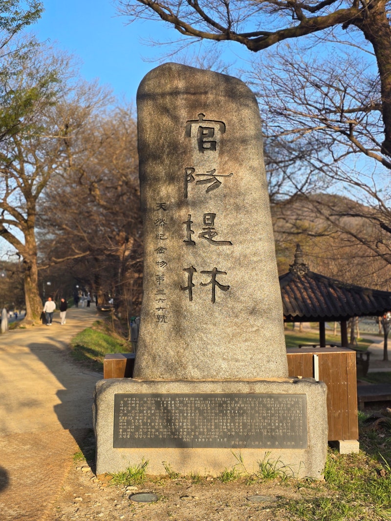 사진 7