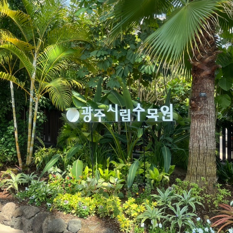  광주 시립수목원 : 화순 나주 20분 거리 광주나들이 명소 언제든 가기 좋은 곳