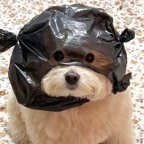 이마샤 사진 1